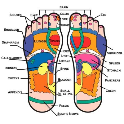 Voetreflex therapie 1 voetreflex therapie