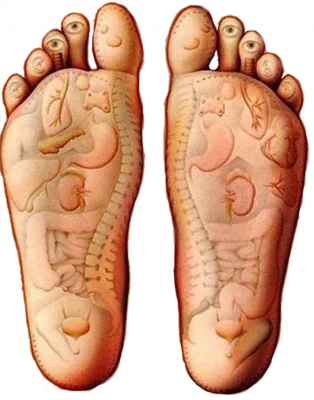 Voetreflex therapie 2 voetreflex